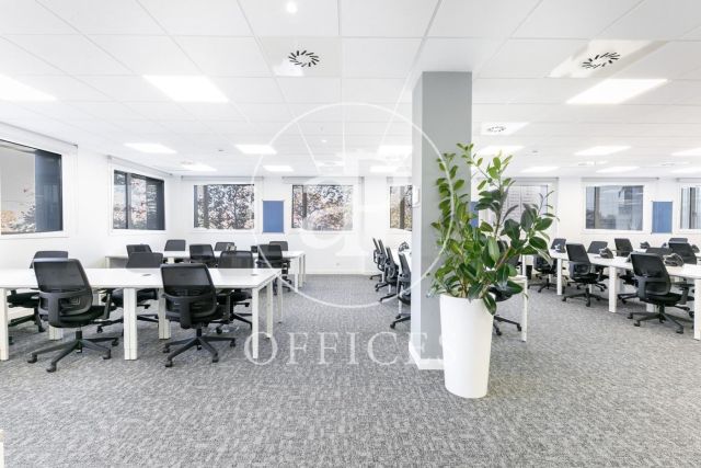 Oficina en alquiler