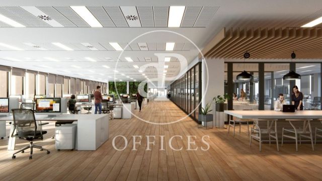 Edifici exclusivament d’oficines en lloguer