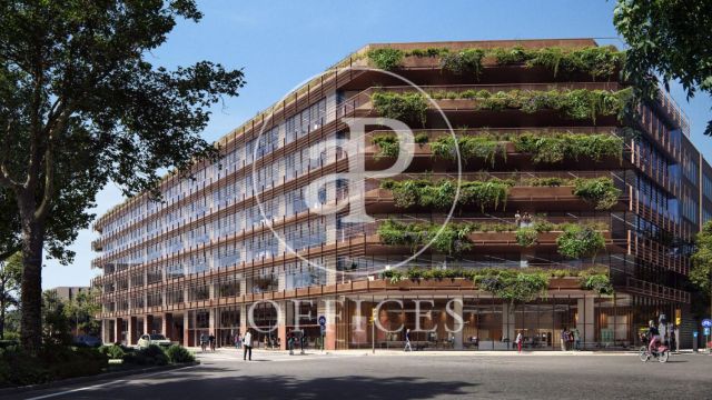 Edifici exclusivament d’oficines en lloguer