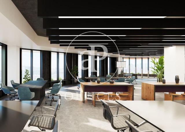 Edifici exclusivament d’oficines en lloguer