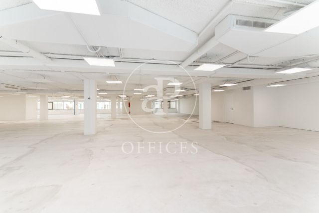 Edifici exclusivament d’oficines en lloguer