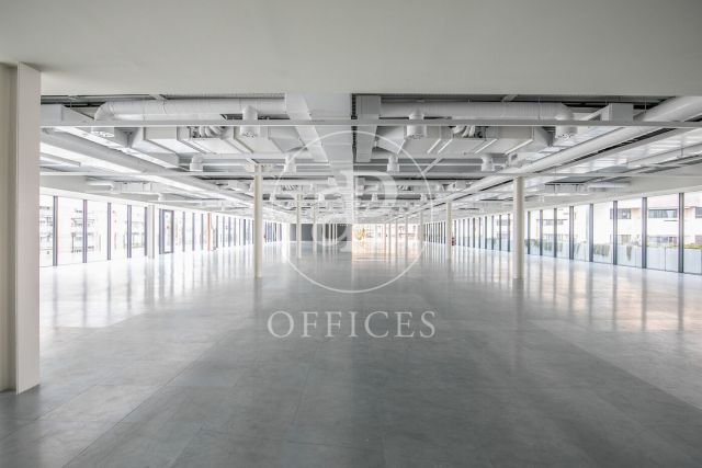 Oficina en lloguer