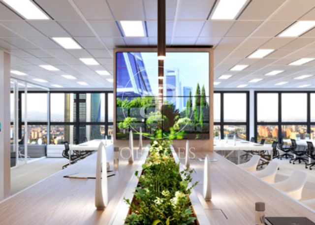 Exclusive offices building for rent