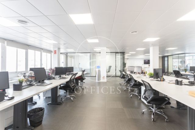 Office for rent