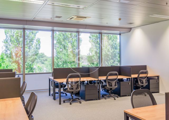 Coworking en lloguer