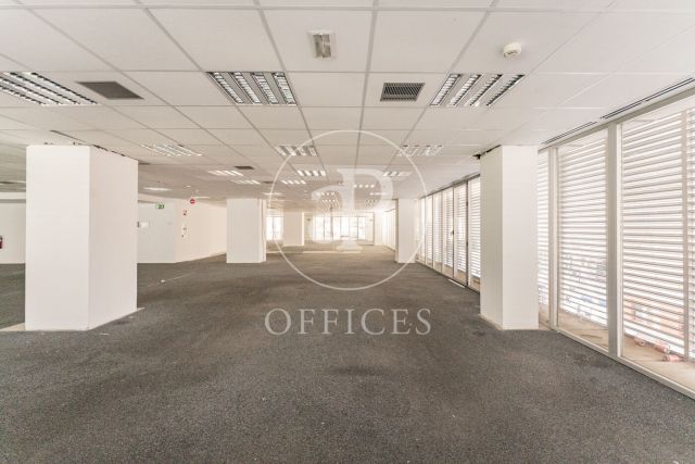 Oficina en lloguer