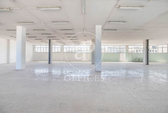 Oficina en lloguer