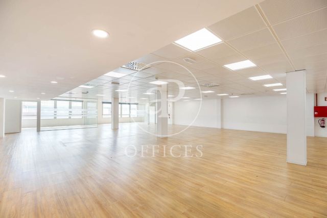 Oficina en lloguer