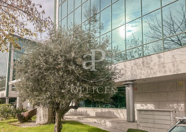 Oficina en alquiler