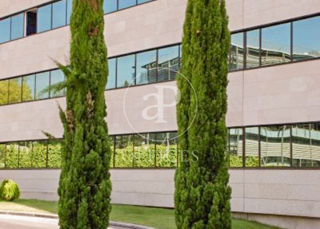 Office for rent