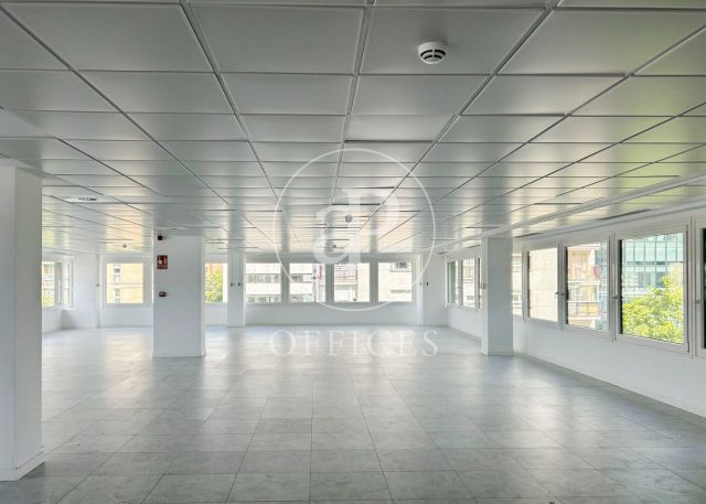 Oficina en lloguer