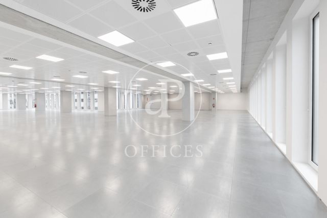 Oficina en alquiler