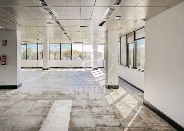 Oficina en alquiler