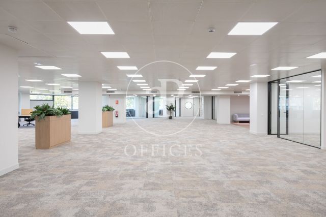 Oficina en alquiler