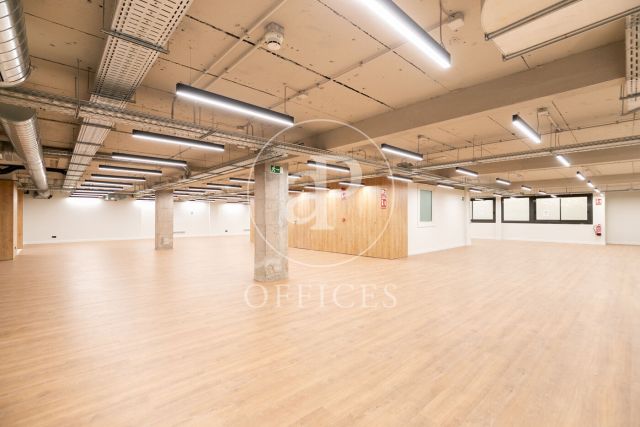 Oficina en lloguer