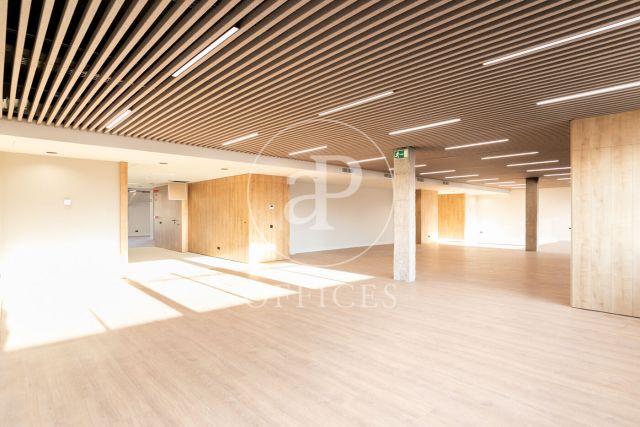 Oficina en lloguer