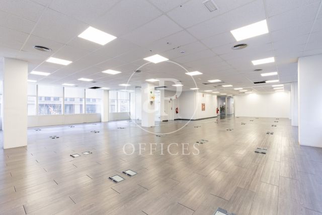 Oficina en lloguer