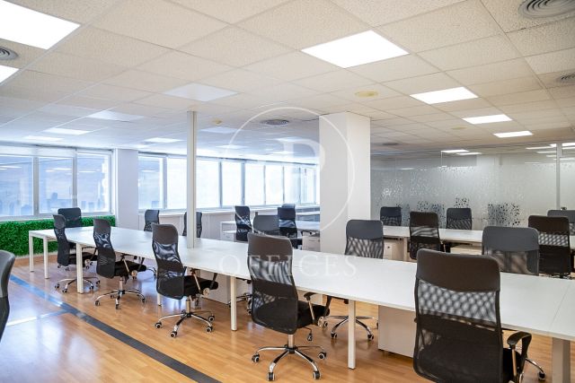 Office for rent