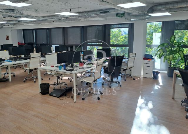 Oficina en lloguer