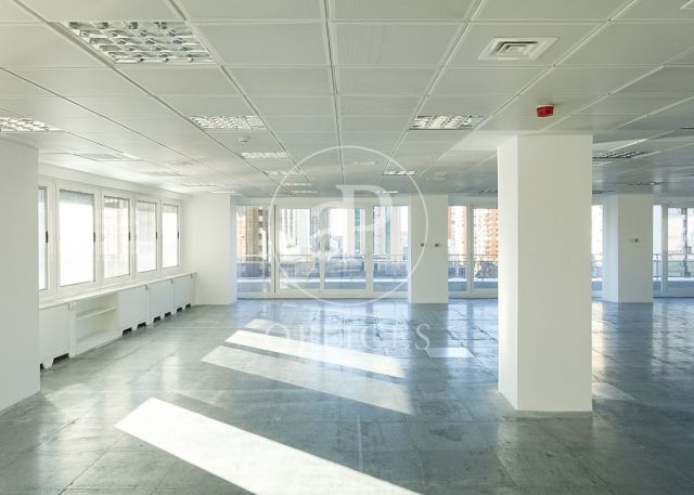 Oficina en lloguer