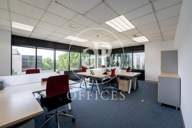 Coworking en alquiler