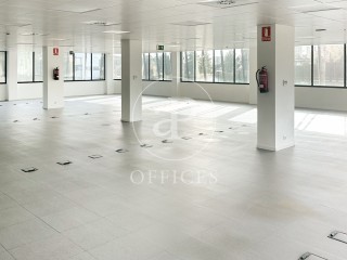 Office for rent