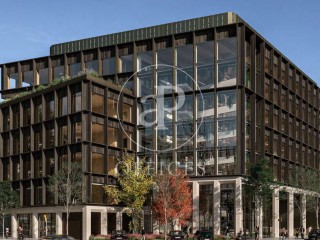 Edifici exclusivament d’oficines en lloguer