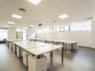 Office for rent