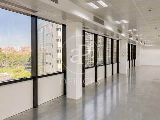 Oficina en lloguer