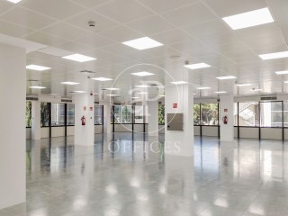 Oficina en lloguer