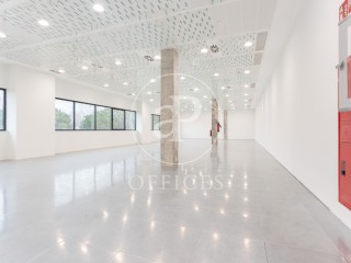 Oficina en alquiler