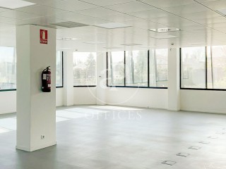 Oficina en alquiler